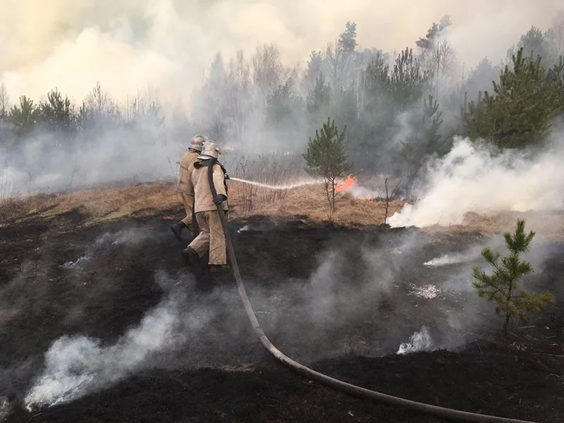 Рятувальники гасять лісову пожежу в Коростенському районі Житомирщини