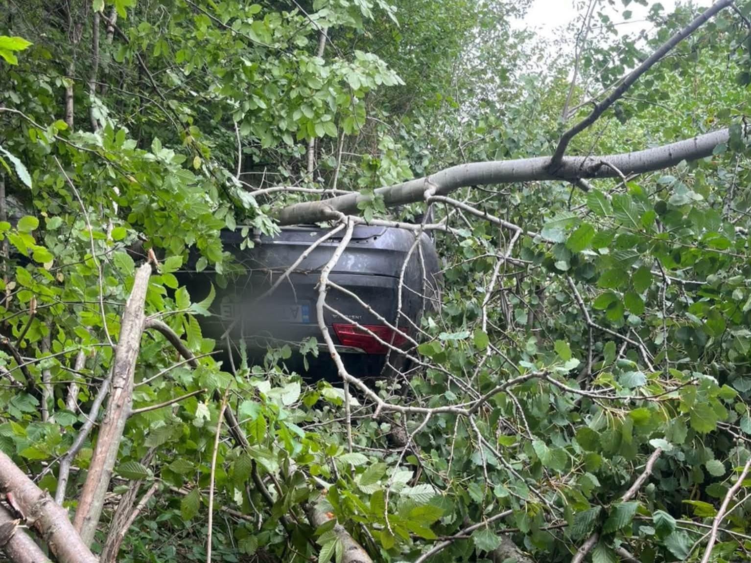 На Прикарпатті Opel з’їхав у кювет і перекинувся: водій загинув